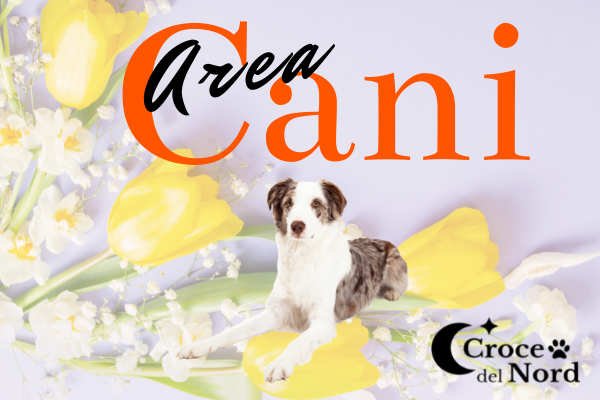 Logo Aea Cani