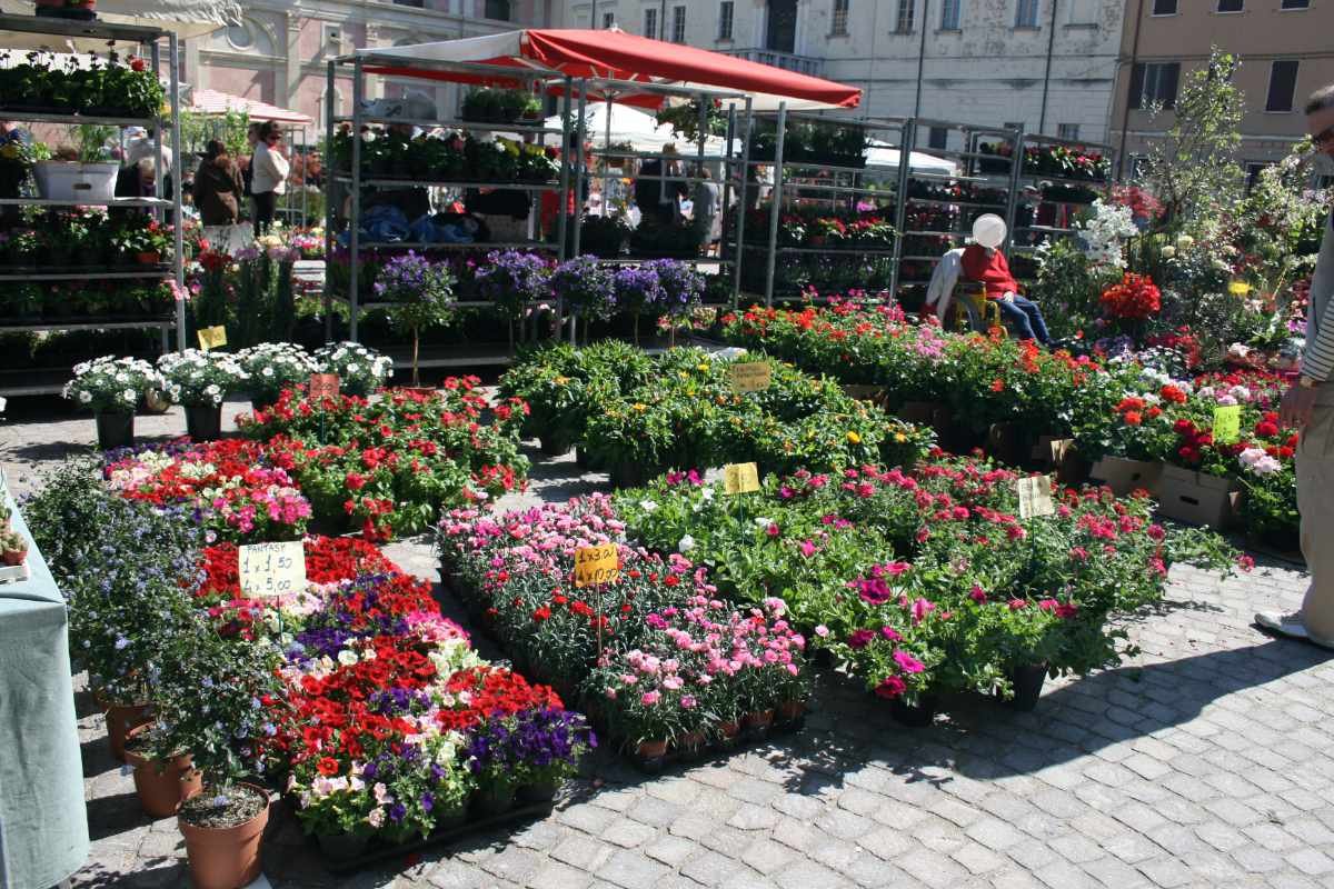 Festa dei fiori a San Benedetto Po