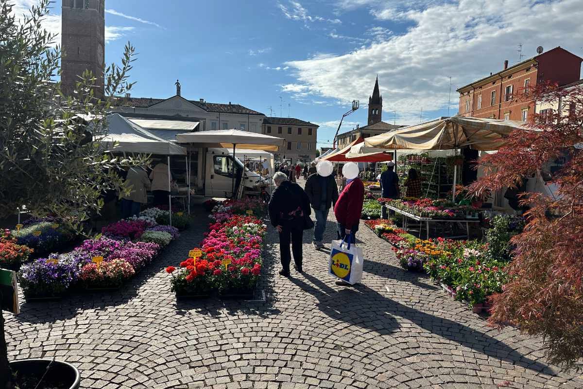 Festa dei Fiori a San Benedetto Po