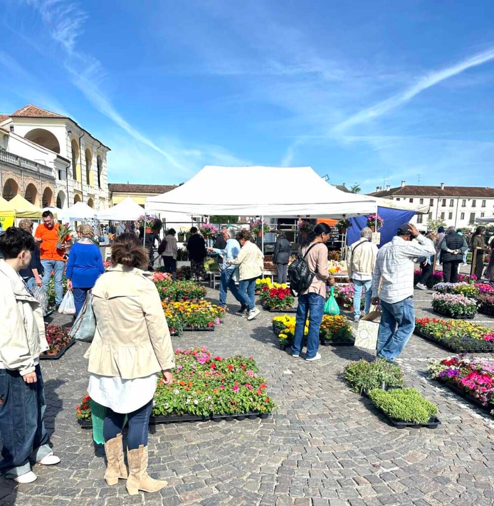 Bancarelle floreali in piazza Folengo a San Benedetto Po