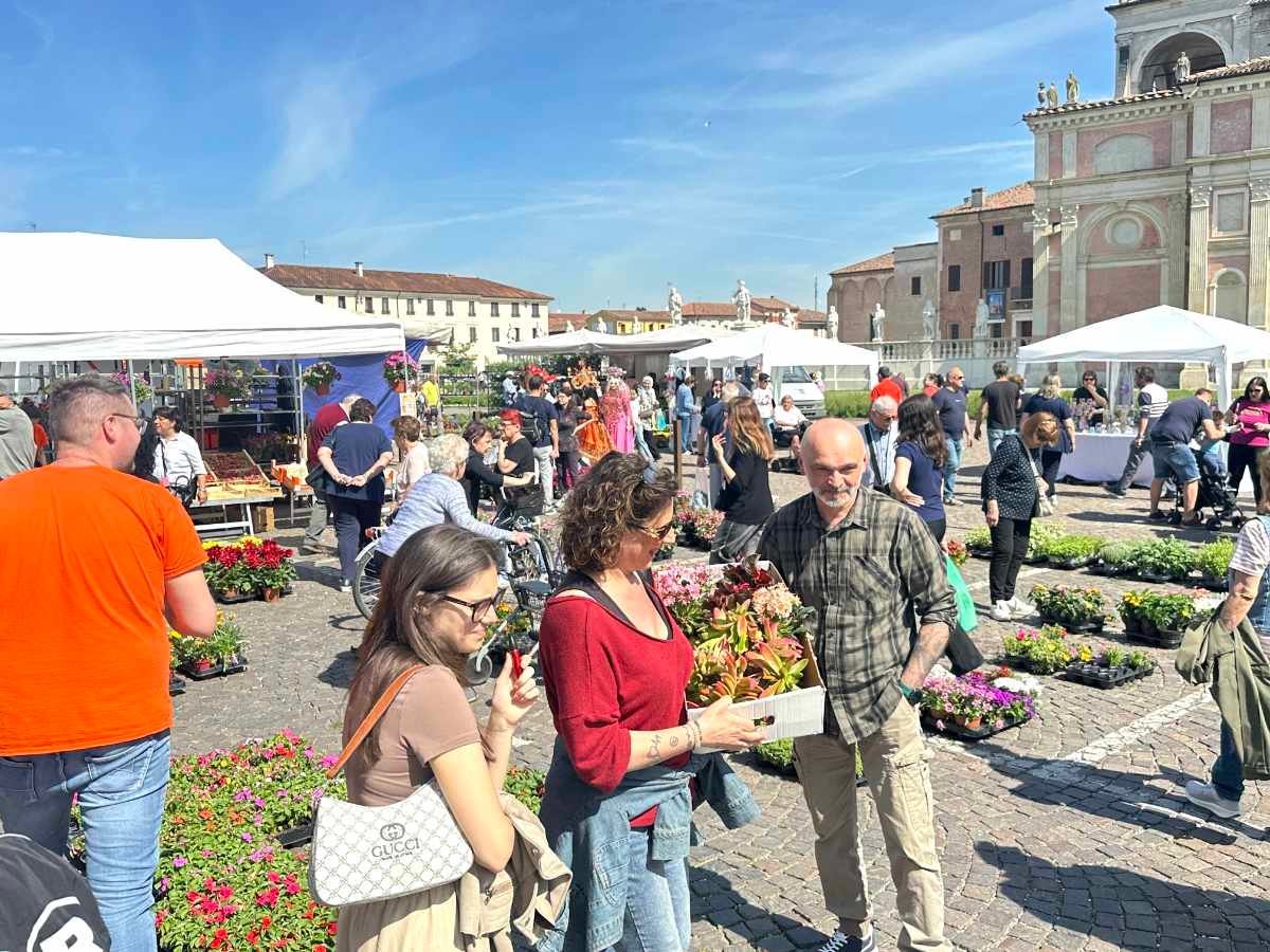 Acquisti di fiori e piante durante il diciannovesimo San Benedetto in Fiore