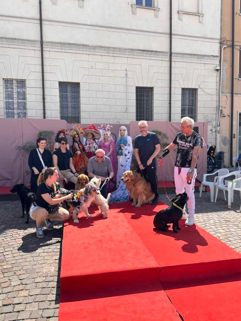 A San Benedetto in Fiore 2026 sulla passerella del collare fiorito