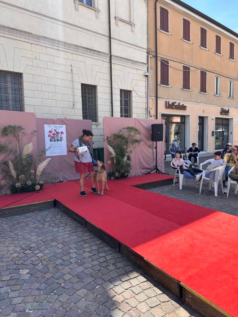 In passerella al San Benedetto in Fiore 2026 con il proprio cane