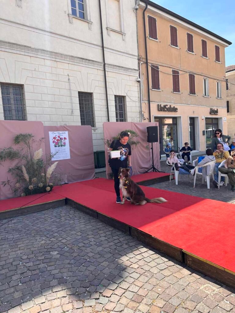 Premi e coccole per tutti