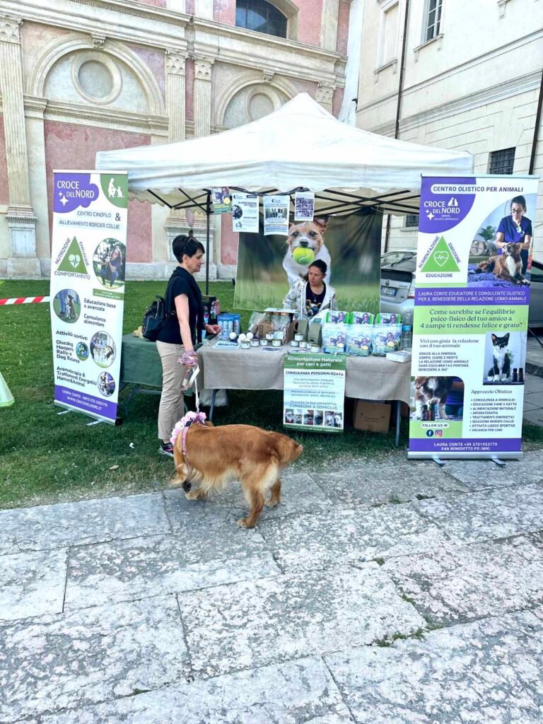 Esposizione di specialità cinofile presso lo stand Croce del Nord
