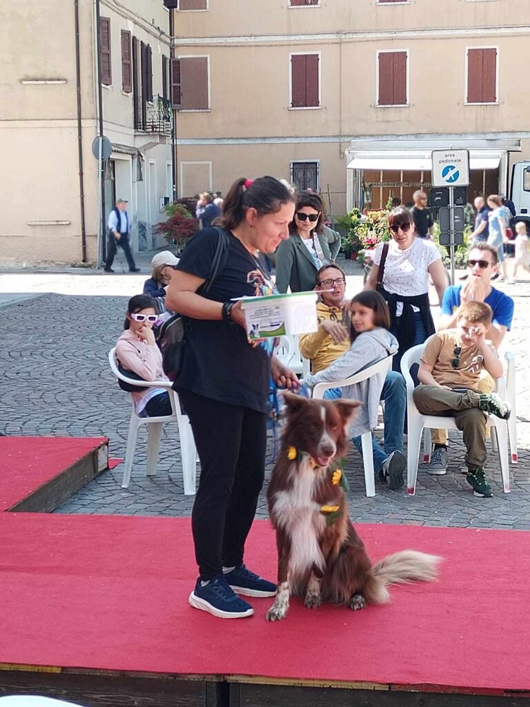 Premiazione al concorso 